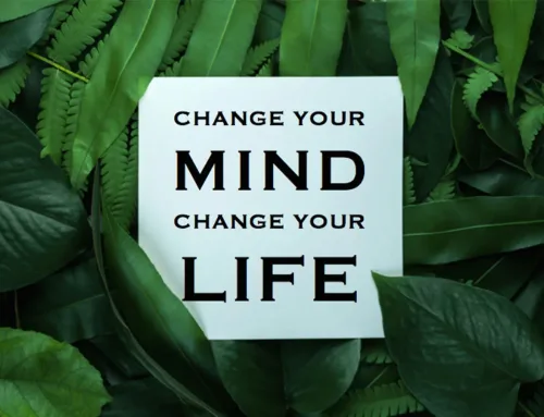 هل انت شخص من أنصار التجديد ؟